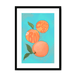 Pêches Giclée Framed Print Intercontinental Fruitery A3 (297 X 420 mm) / Black / White Mount Framed Print