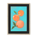 Pêches Giclée Framed Print Intercontinental Fruitery A3 (297 X 420 mm) / Natural / Black Mount Framed Print
