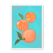 Pêches Giclée Framed Print Intercontinental Fruitery A3 (297 X 420 mm) / White / No Mount (All Art) Framed Print
