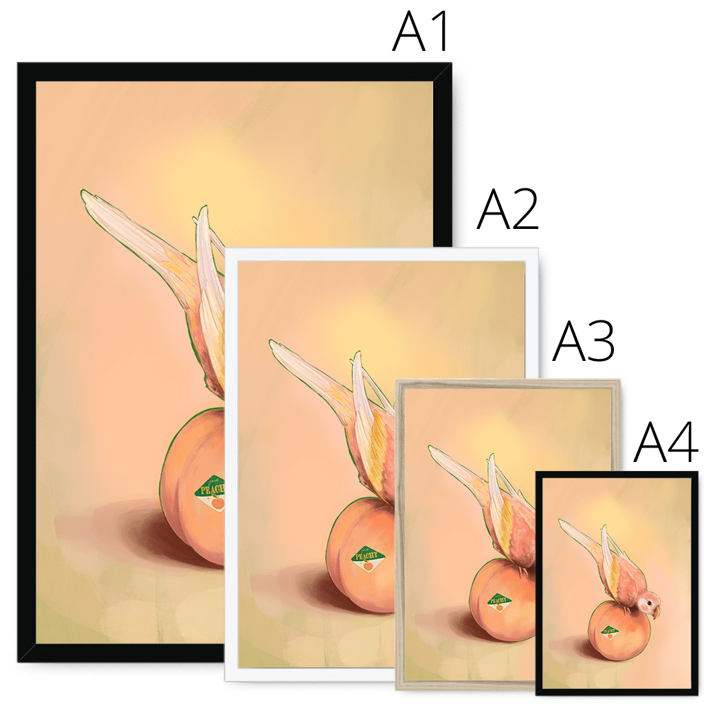 Peachy Parakeet Framed Print Sticky Beaks Framed Print