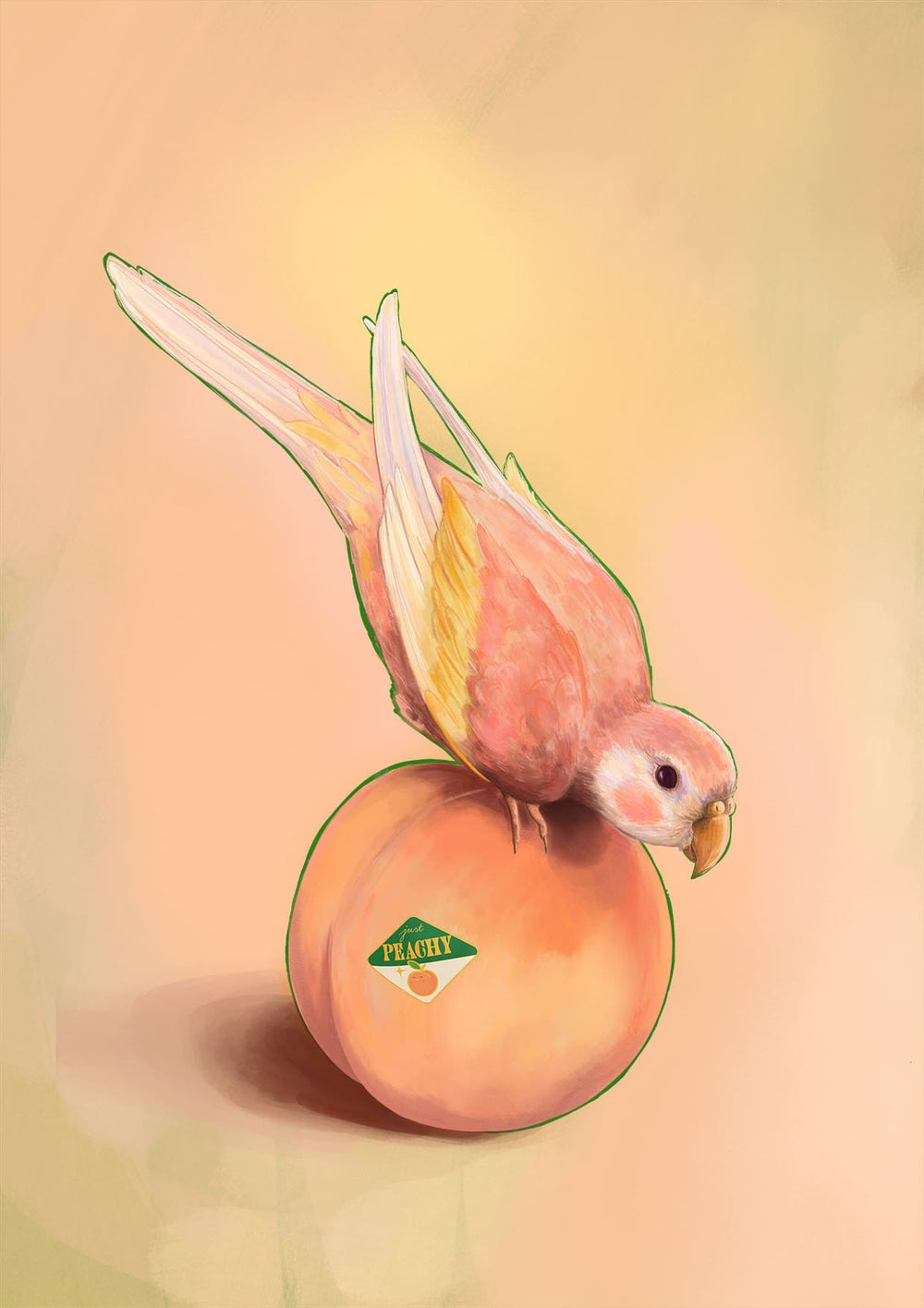 Peachy Parakeet Giclée Art Print Sticky Beaks Art Print