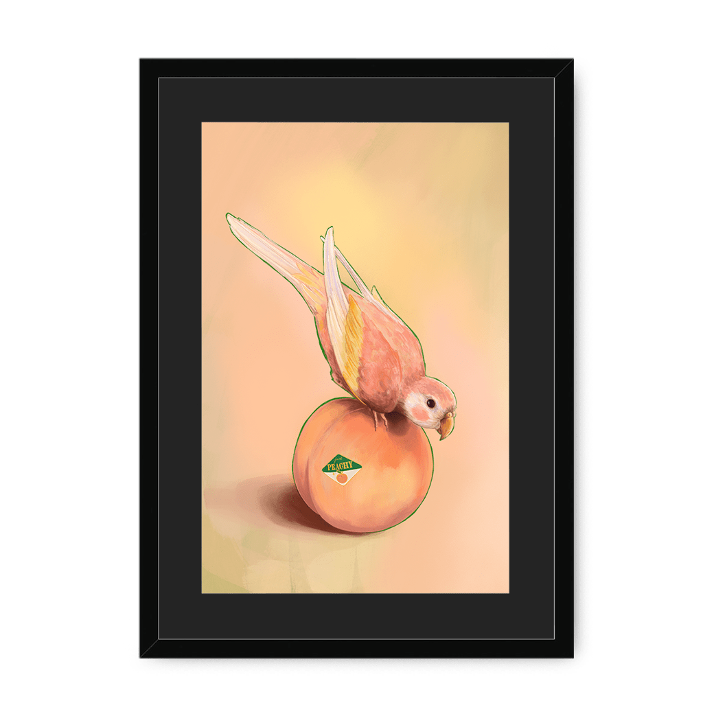 Peachy Parakeet Framed Print Sticky Beaks A3 (297 X 420 mm) / Black / Black Mount Framed Print