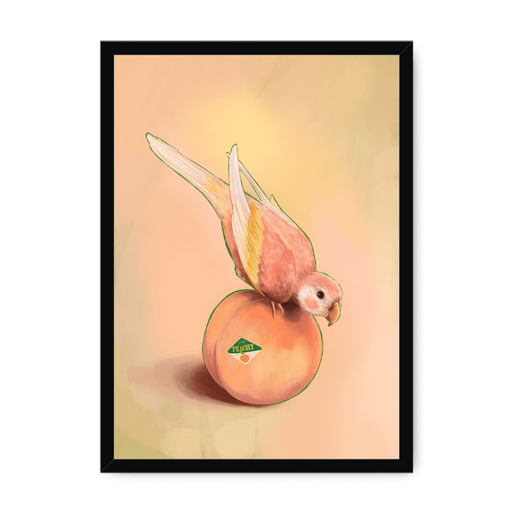 Peachy Parakeet Framed Print Sticky Beaks A3 (297 X 420 mm) / Black / No Mount (All Art) Framed Print
