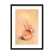 Peachy Parakeet Framed Print Sticky Beaks A3 (297 X 420 mm) / Black / White Mount Framed Print
