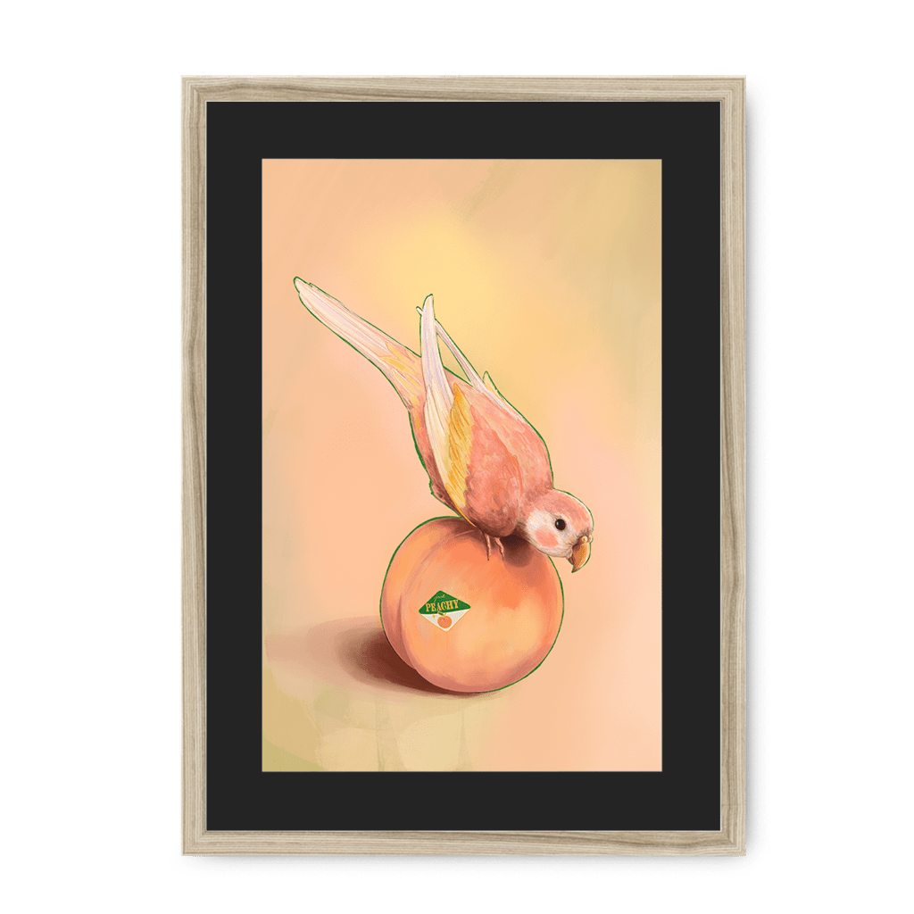 Peachy Parakeet Framed Print Sticky Beaks A3 (297 X 420 mm) / Natural / Black Mount Framed Print