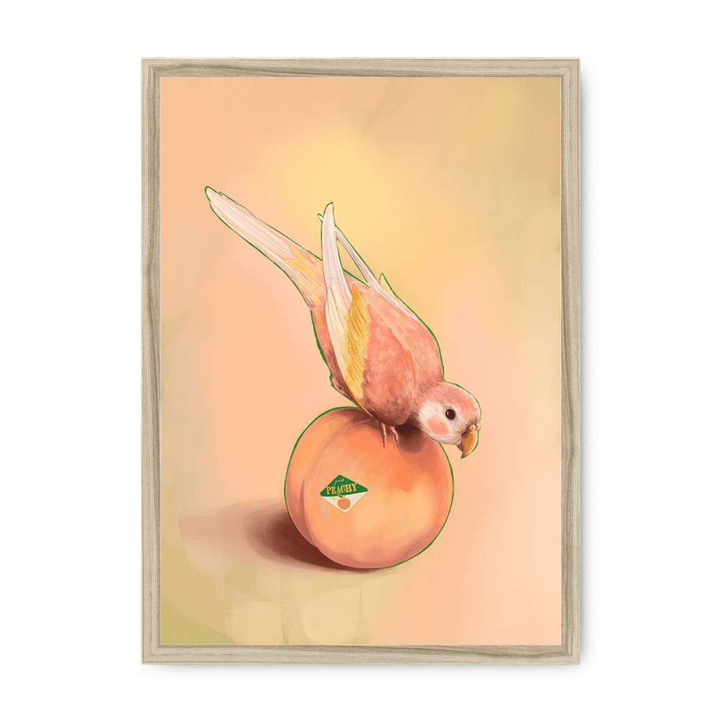 Peachy Parakeet Framed Print Sticky Beaks A3 (297 X 420 mm) / Natural / No Mount (All Art) Framed Print