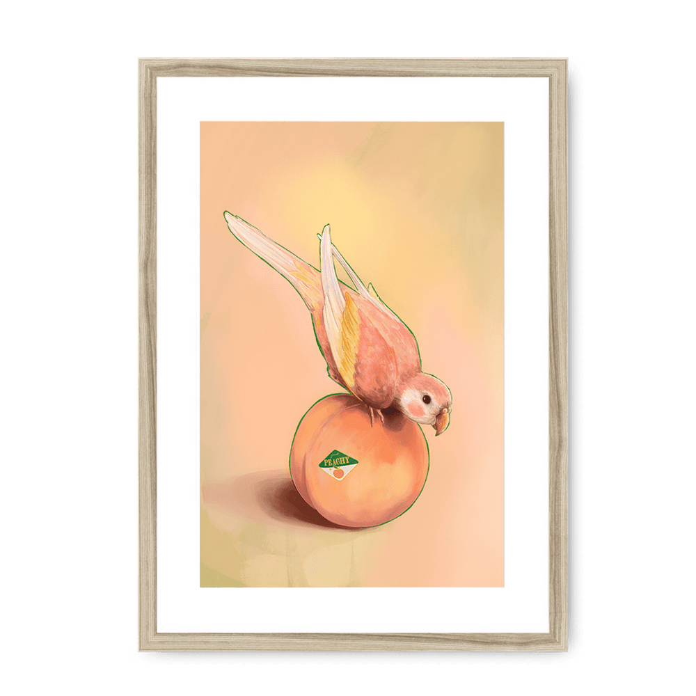 Peachy Parakeet Framed Print Sticky Beaks A3 (297 X 420 mm) / Natural / White Mount Framed Print