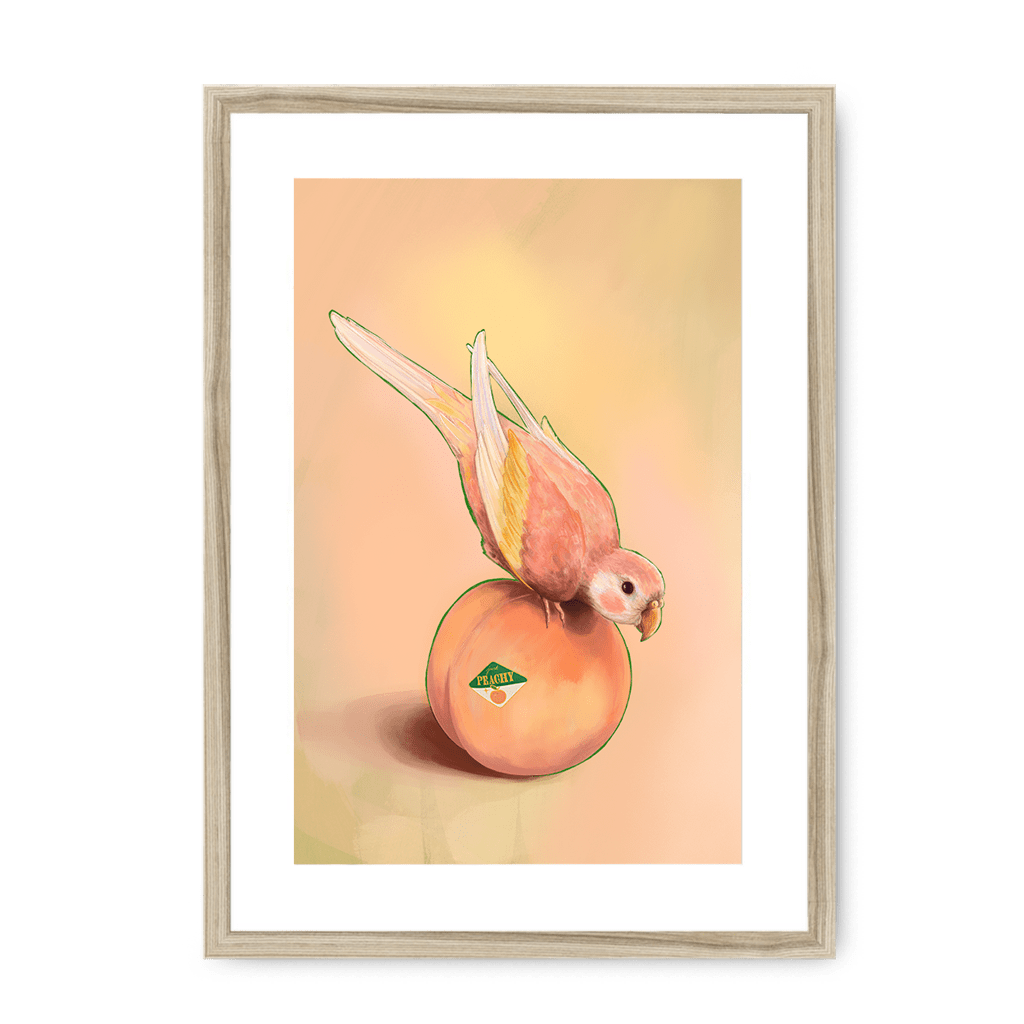 Peachy Parakeet Framed Print Sticky Beaks A3 (297 X 420 mm) / Natural / White Mount Framed Print