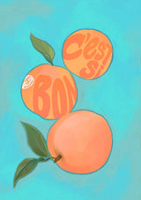 Pêches Giclée Art Print