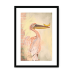 Pelicanana Framed Print Food Fur & Feathers A3 (297 X 420 mm) / Black / White Mount Framed Print