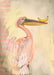 Pelicanana Giclée Art Print Food Fur & Feathers Art Print