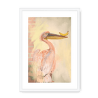 Pelicanana Framed Print Food Fur & Feathers A3 (297 X 420 mm) / White / White Mount Framed Print