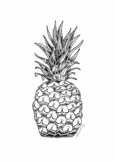 Pineapple Ink Drawing Matte Art Print Pineapple Parade Art Print