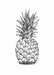 Pineapple Ink Drawing Matte Art Print Pineapple Parade Art Print