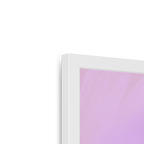 Plump Pigeon Framed Print Sticky Beaks Framed Print