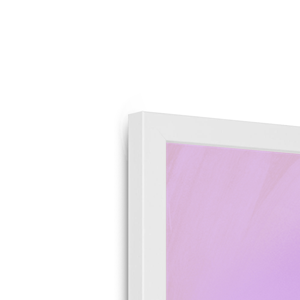 Plump Pigeon Framed Print Sticky Beaks Framed Print