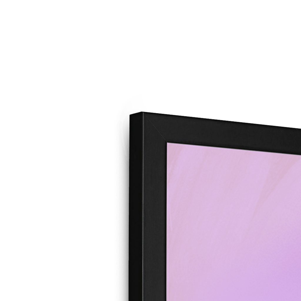 Plump Pigeon Framed Print Sticky Beaks Framed Print