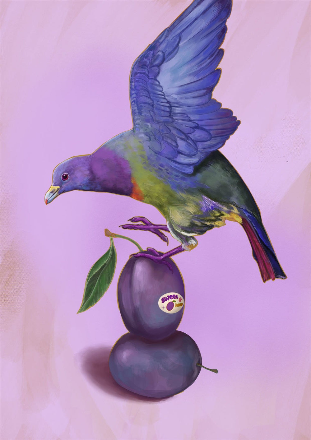 Plump Pigeon Giclée Art Print Sticky Beaks Art Print