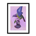 Plump Pigeon Framed Print Sticky Beaks A3 (297 X 420 mm) / Black / White Mount Framed Print