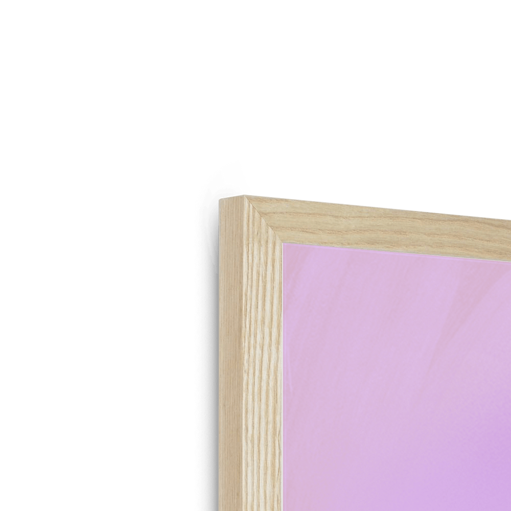 Plump Pigeon Framed Print Sticky Beaks Framed Print