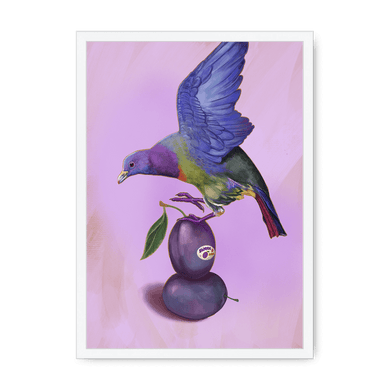 Plump Pigeon Framed Print Sticky Beaks A3 (297 X 420 mm) / White / No Mount (All Art) Framed Print