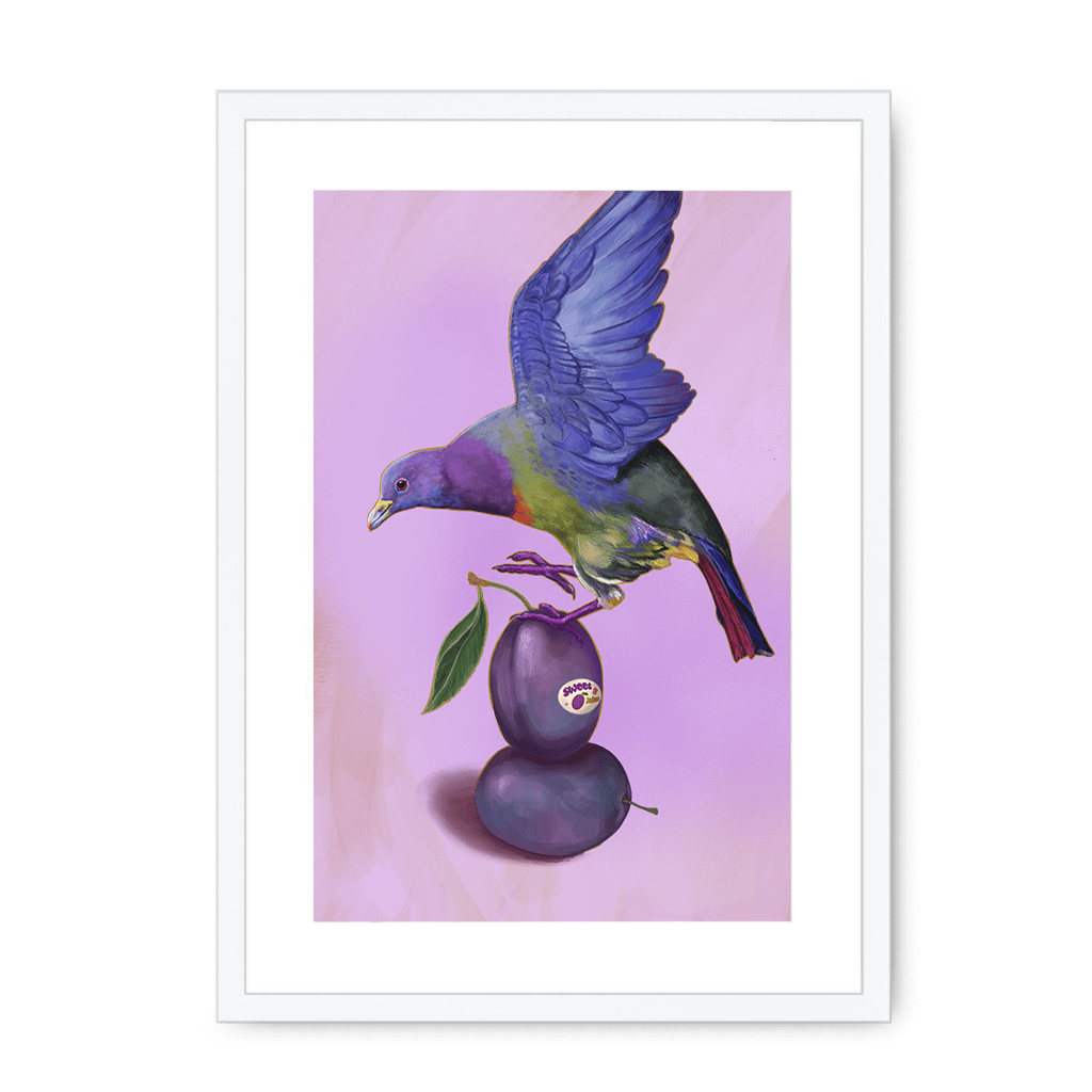 Plump Pigeon Framed Print Sticky Beaks A3 (297 X 420 mm) / White / White Mount Framed Print