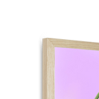 Poppies In Pink Framed Print Happy Stems Framed Print