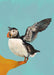 Posing Puffin Giclée Art Print Creature Features Art Print