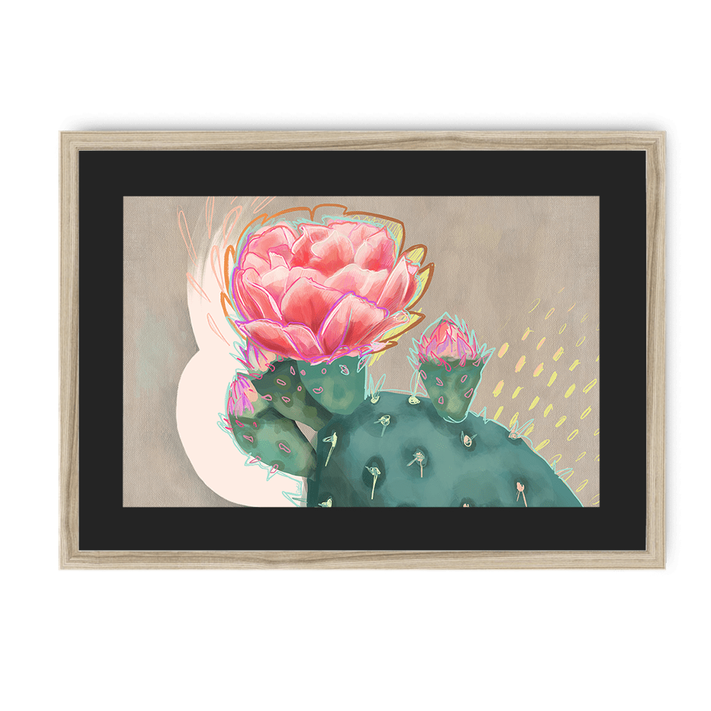 Prickly In Pink Framed Print Heat Flares A3 (297 X 420 mm) / Natural / Black Mount Framed Print