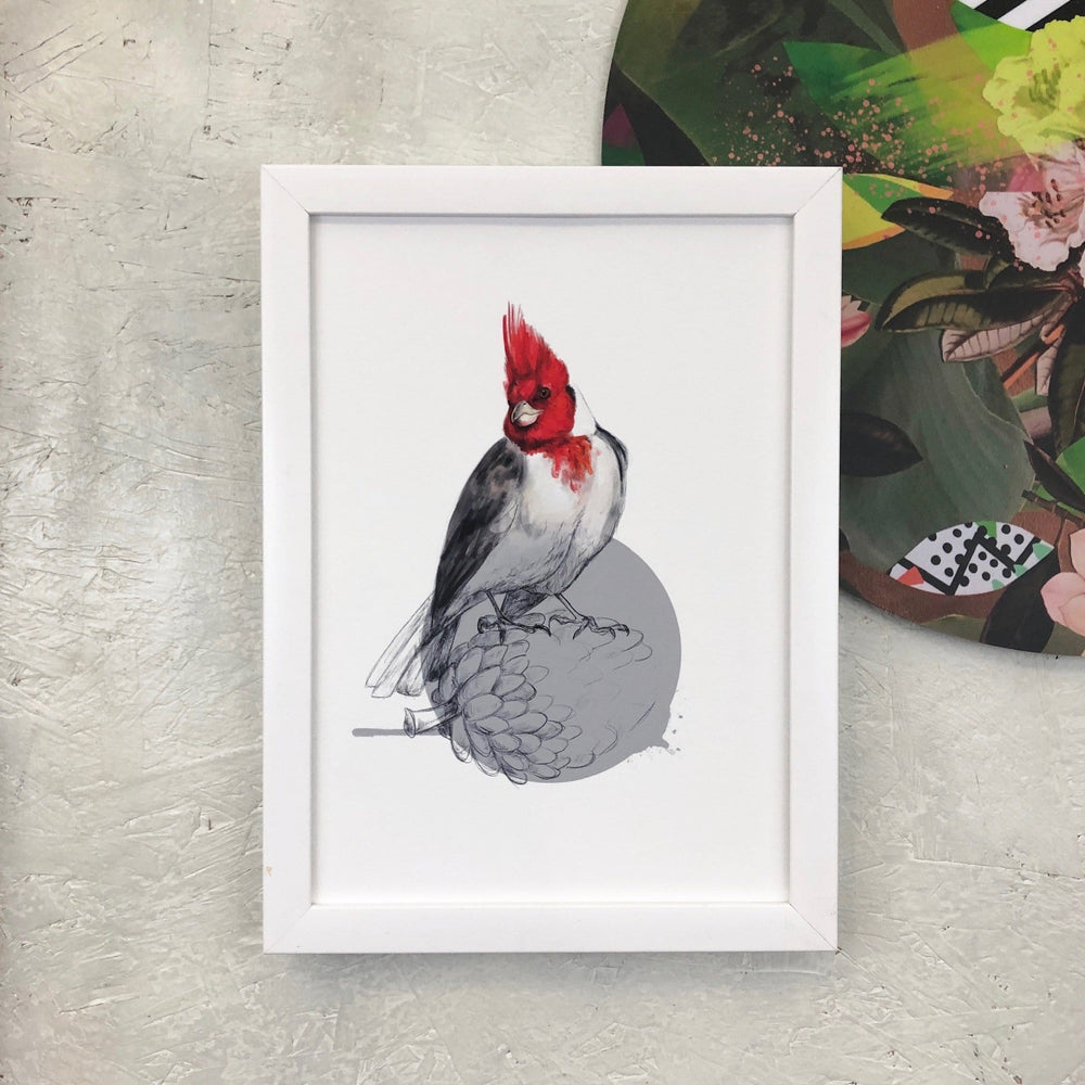 Red Crested Cardinal Giclée Art Print Drippy Birds Art Print