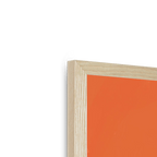 Red Panda OG Framed Print Food Fur & Feathers Framed Print