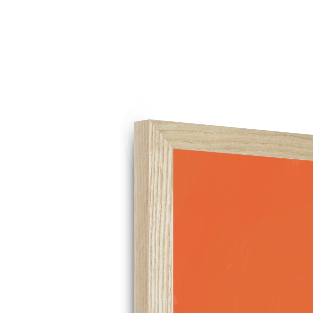 Red Panda OG Framed Print Food Fur & Feathers Framed Print