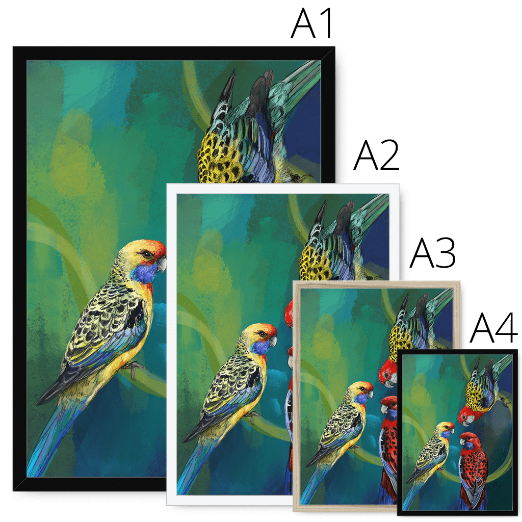 Rondel Of Rosellas Framed Print The Gathering Framed Print