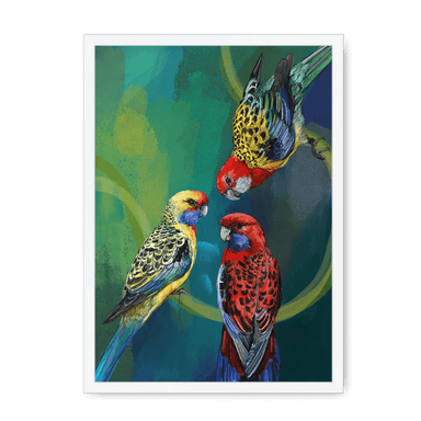 Rondel Of Rosellas Framed Print The Gathering A3 (297 X 420 mm) / White / No Mount (All Art) Framed Print