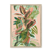 Ruby Rubber Jungle Framed Print WallFlowers A3 (297 X 420 mm) / Natural / No Mount (All Art) Framed Print