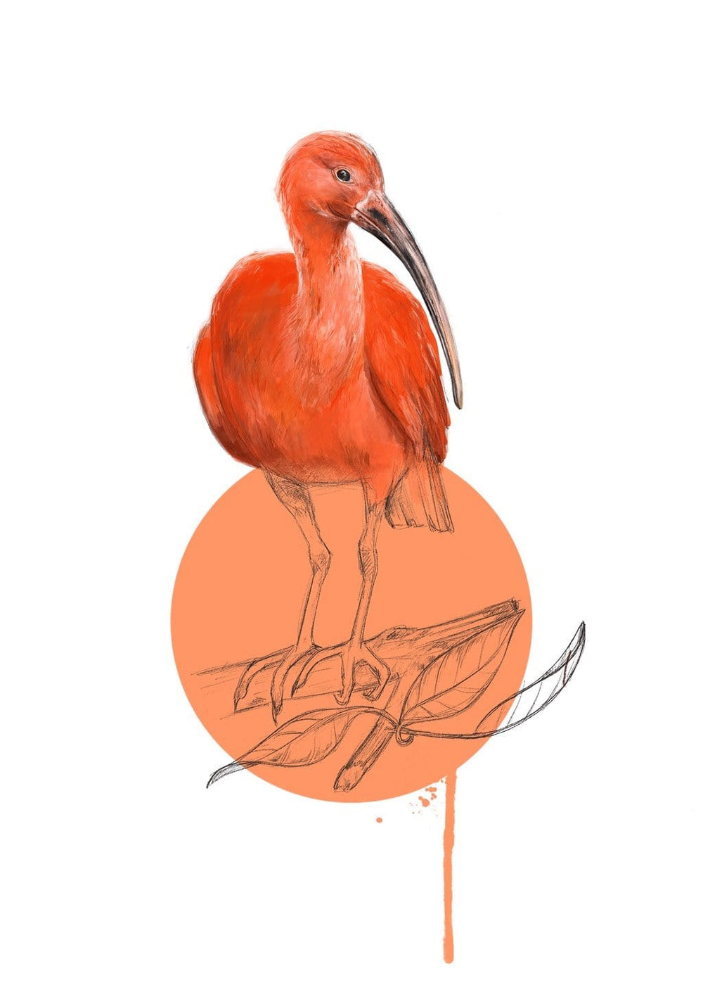 Scarlet Ibis Giclée Art Print Drippy Birds Art Print