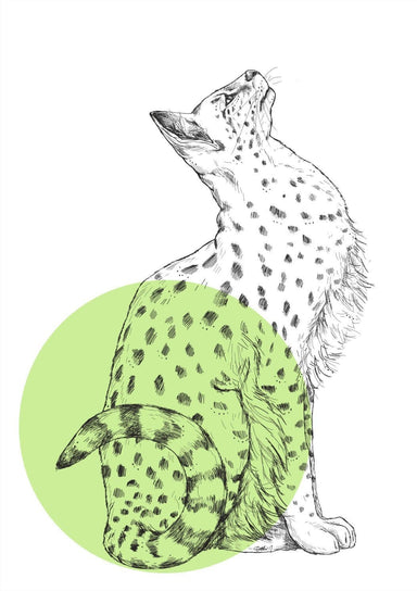 Serval Matte Art Print Cats & Dots Art Print