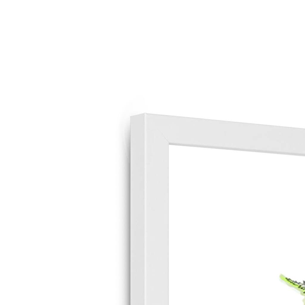 Sky Framed Print Habitats Framed Print