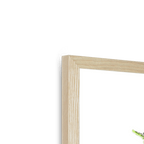 Sky Framed Print Habitats Framed Print