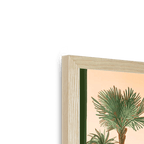 Seaside Soft Serve Framed Print Hôtel Dodo Framed Print