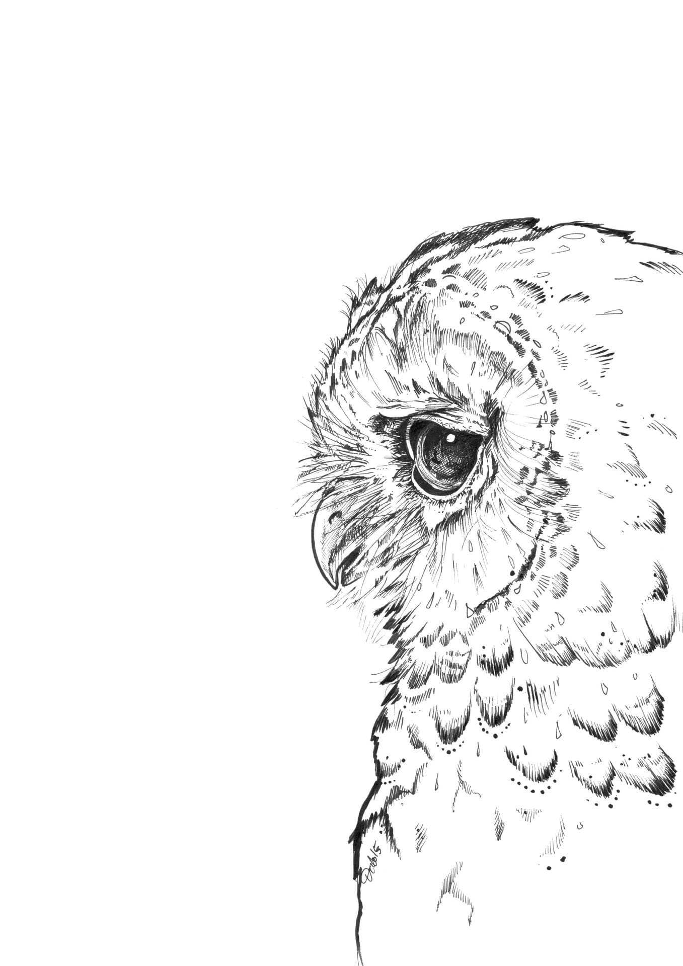 Sowly Matte Art Print Ink Birds Art Print