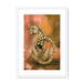 Spotted Repose Framed Print Pawky Paws A3 (297 X 420 mm) / White / White Mount Framed Print