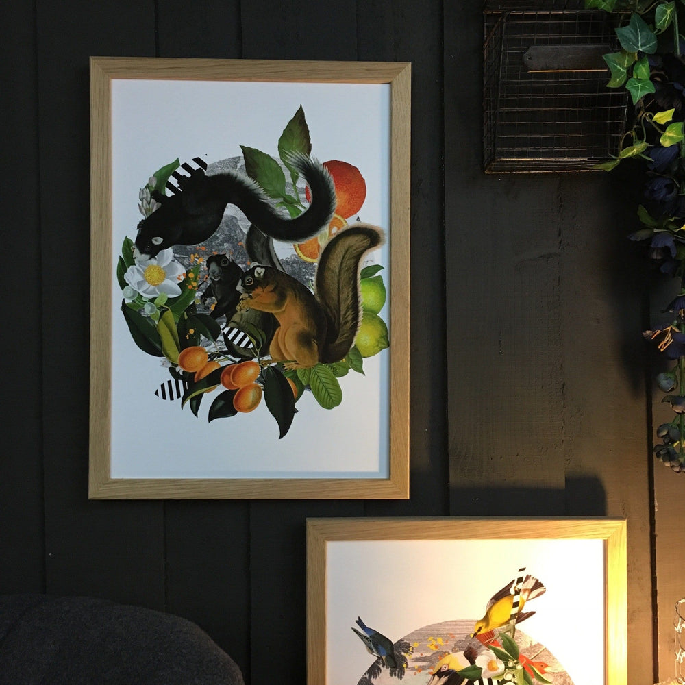 Squirrels in Sicily Matte Art Print The Audubon Remixes Art Print