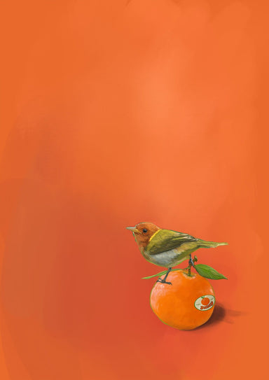 Tangerine Tanager Giclée Art Print Sticky Beaks Art Print