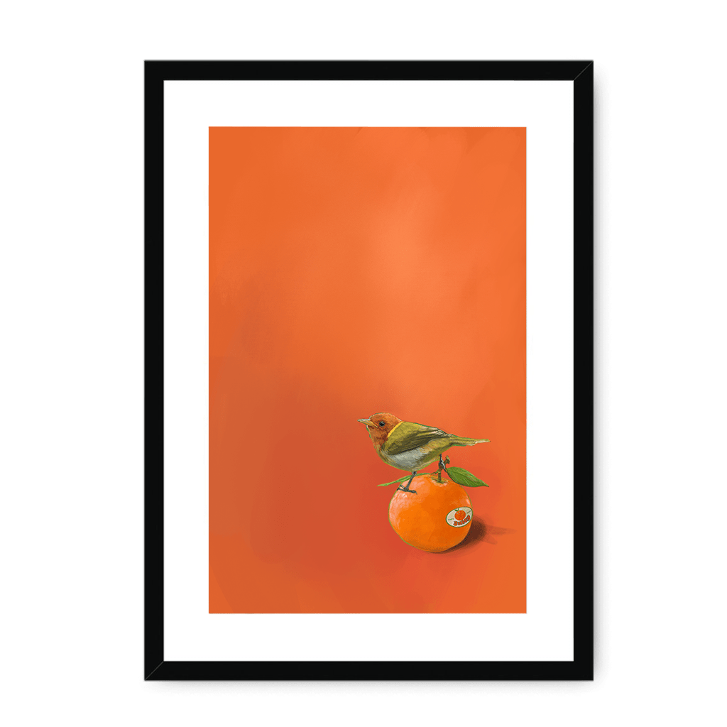 Tangerine Tanager Framed Print Sticky Beaks A3 (297 X 420 mm) / Black / White Mount Framed Print