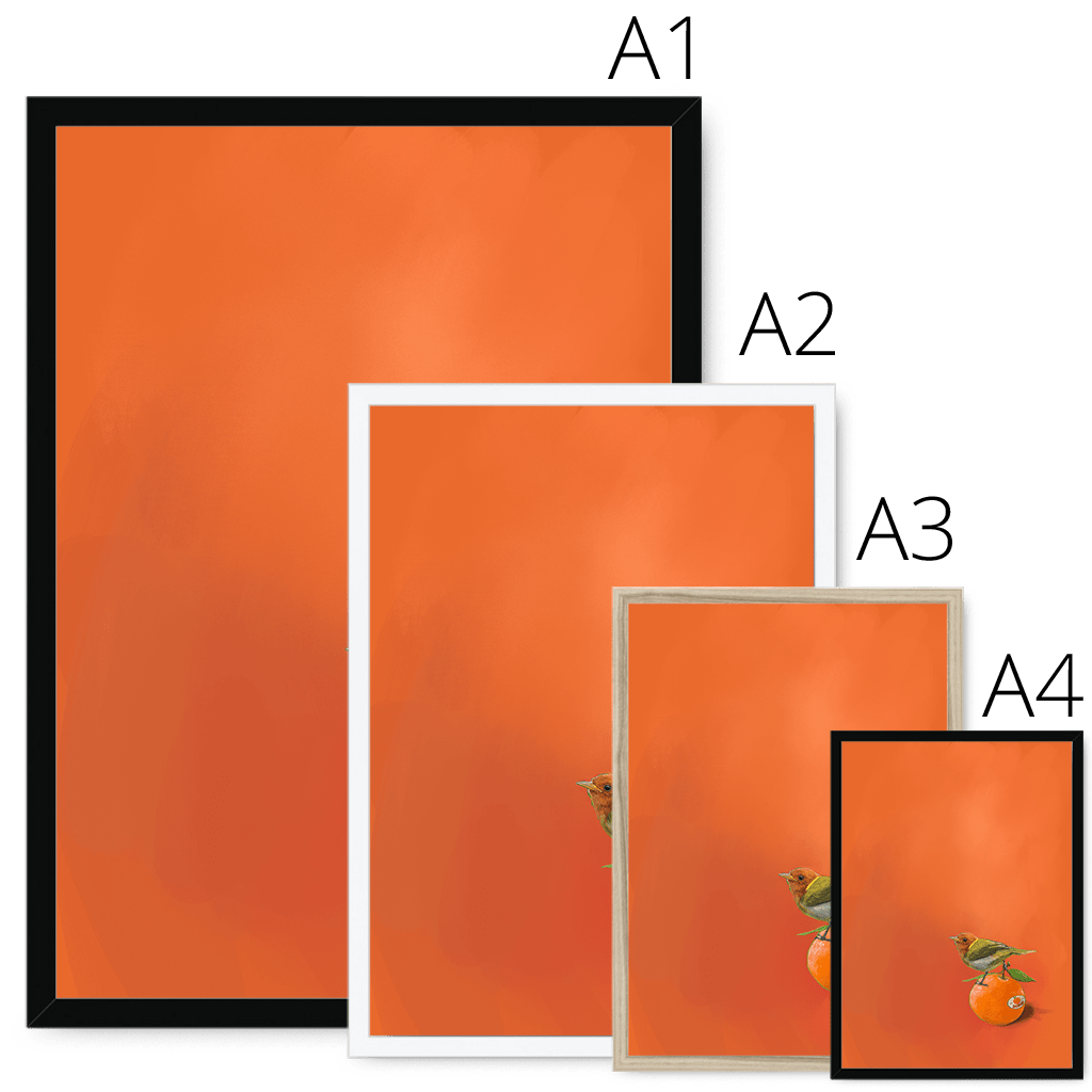 Tangerine Tanager Framed Print Sticky Beaks Framed Print