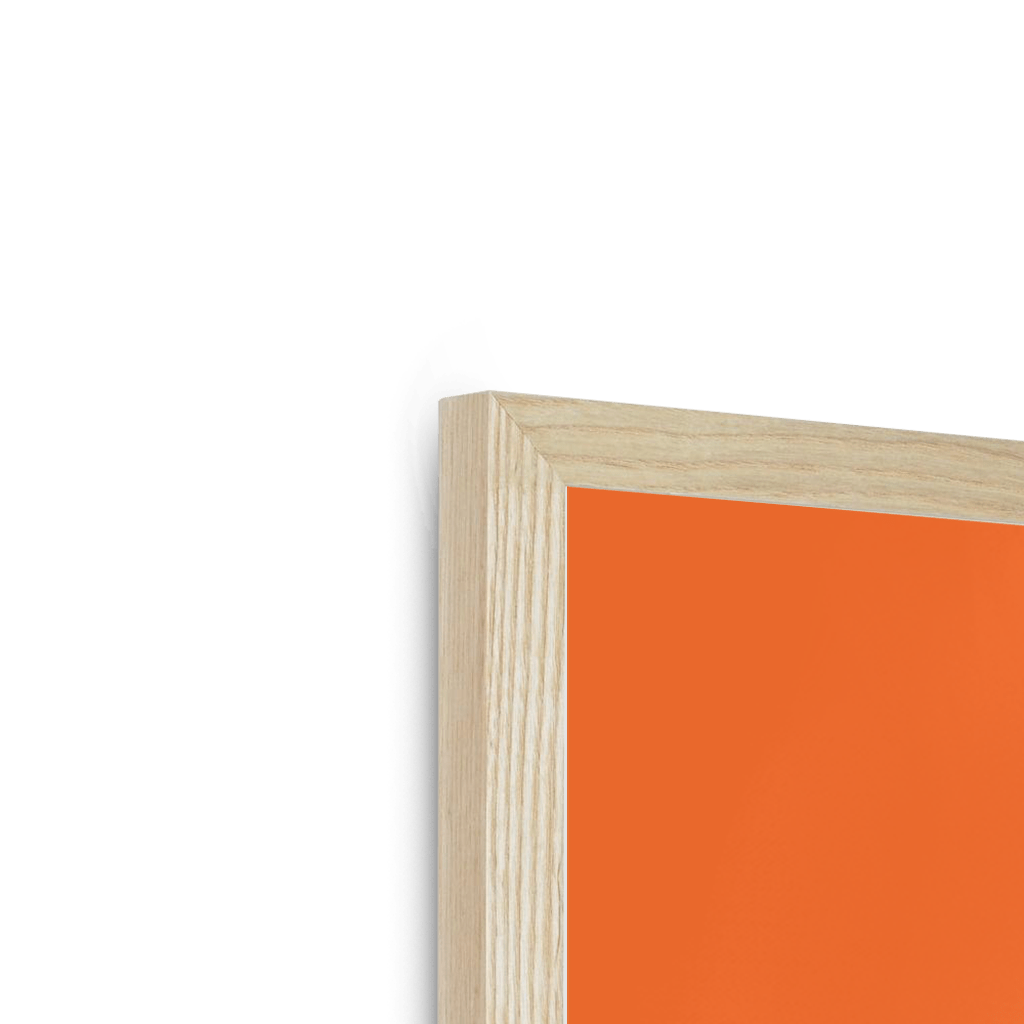 Tangerine Tanager Framed Print Sticky Beaks Framed Print
