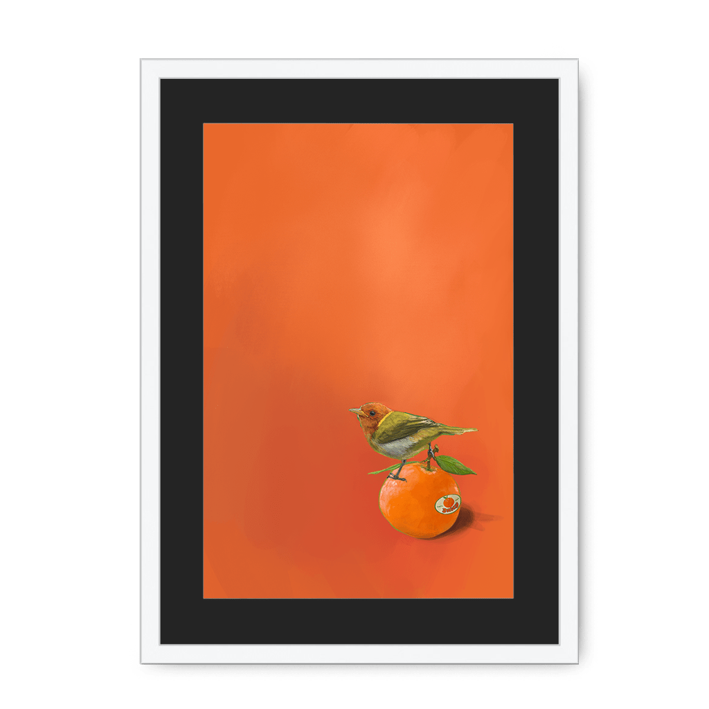 Tangerine Tanager Framed Print Sticky Beaks A3 (297 X 420 mm) / White / Black Mount Framed Print