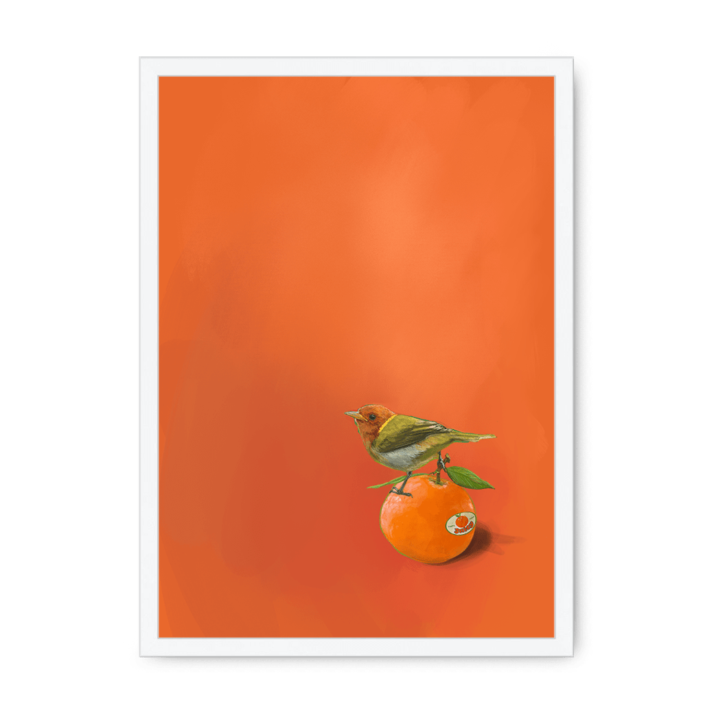 Tangerine Tanager Framed Print Sticky Beaks A3 (297 X 420 mm) / White / No Mount (All Art) Framed Print