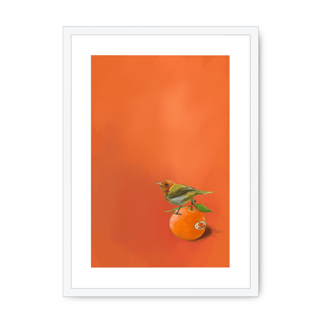 Tangerine Tanager Framed Print Sticky Beaks A3 (297 X 420 mm) / White / White Mount Framed Print